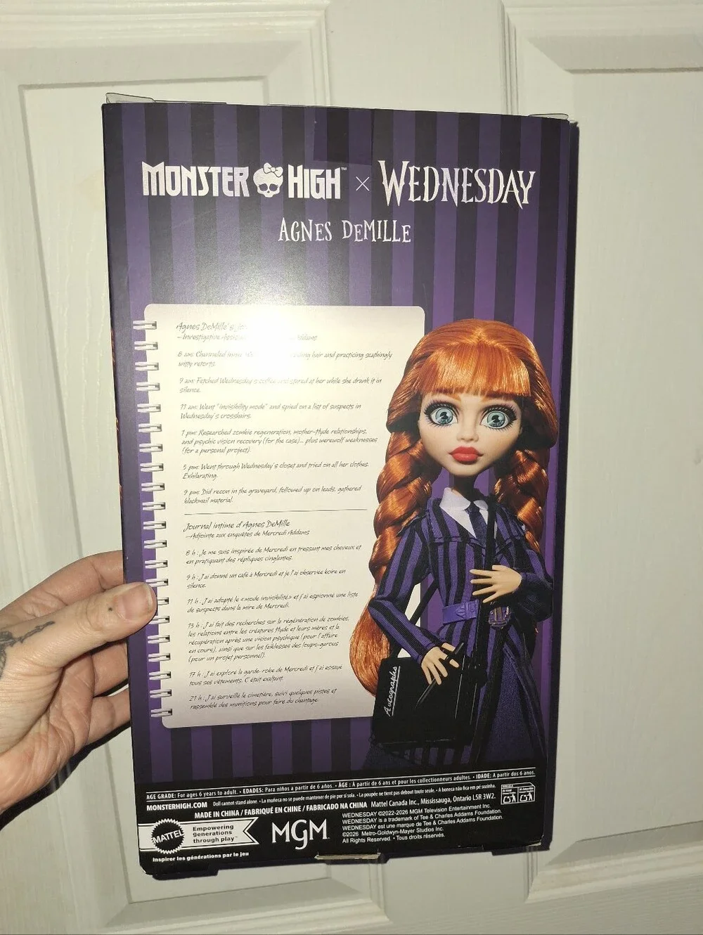 Agnes Monster High BOX ONLY